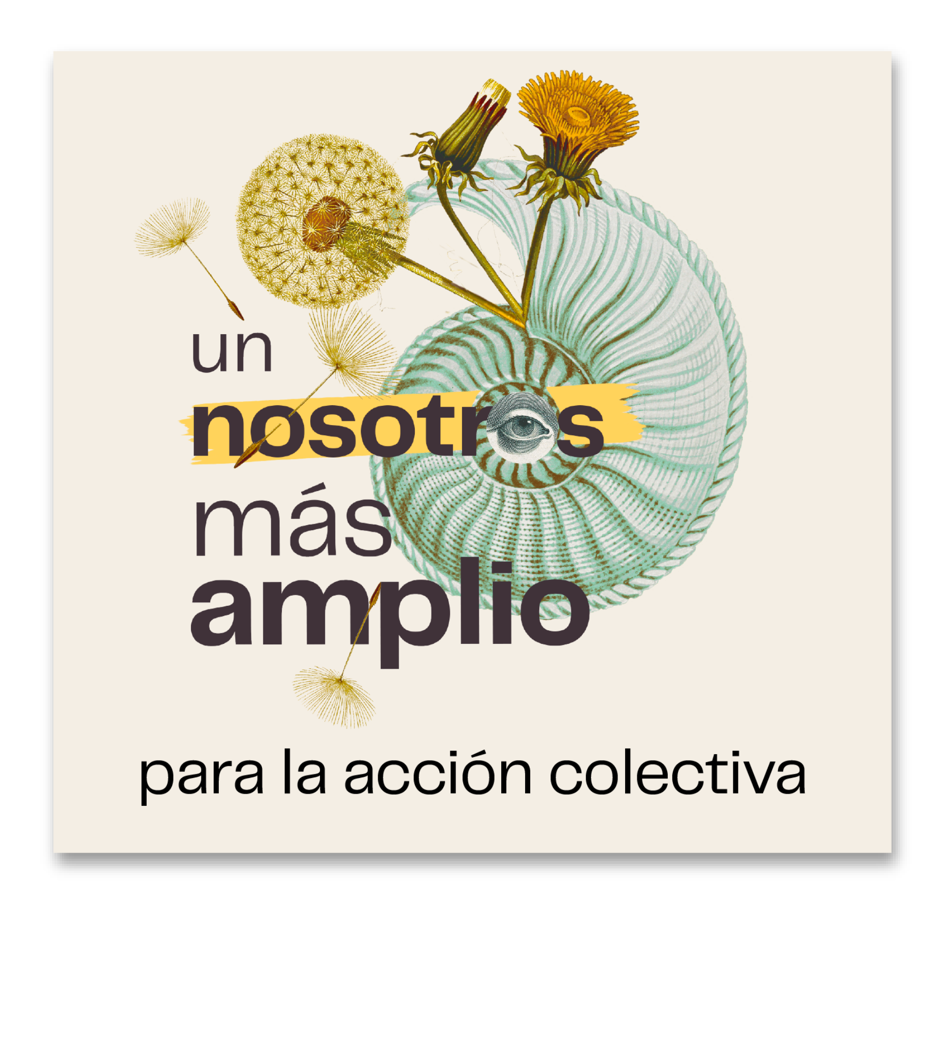 Un nosotros más amplio para la acción colectiva