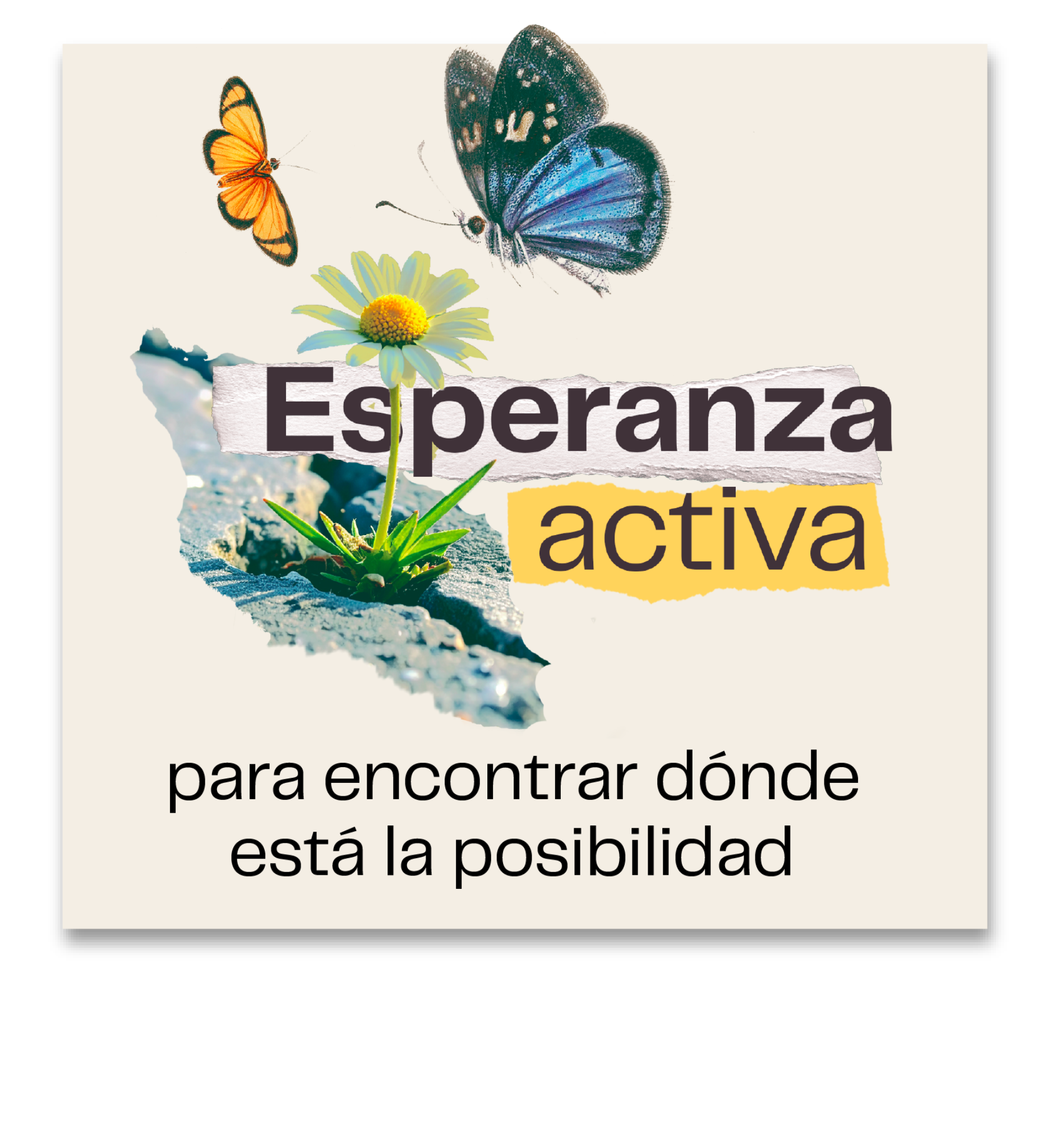 Esperanza activa para encontrar dónde está la posibilidad
